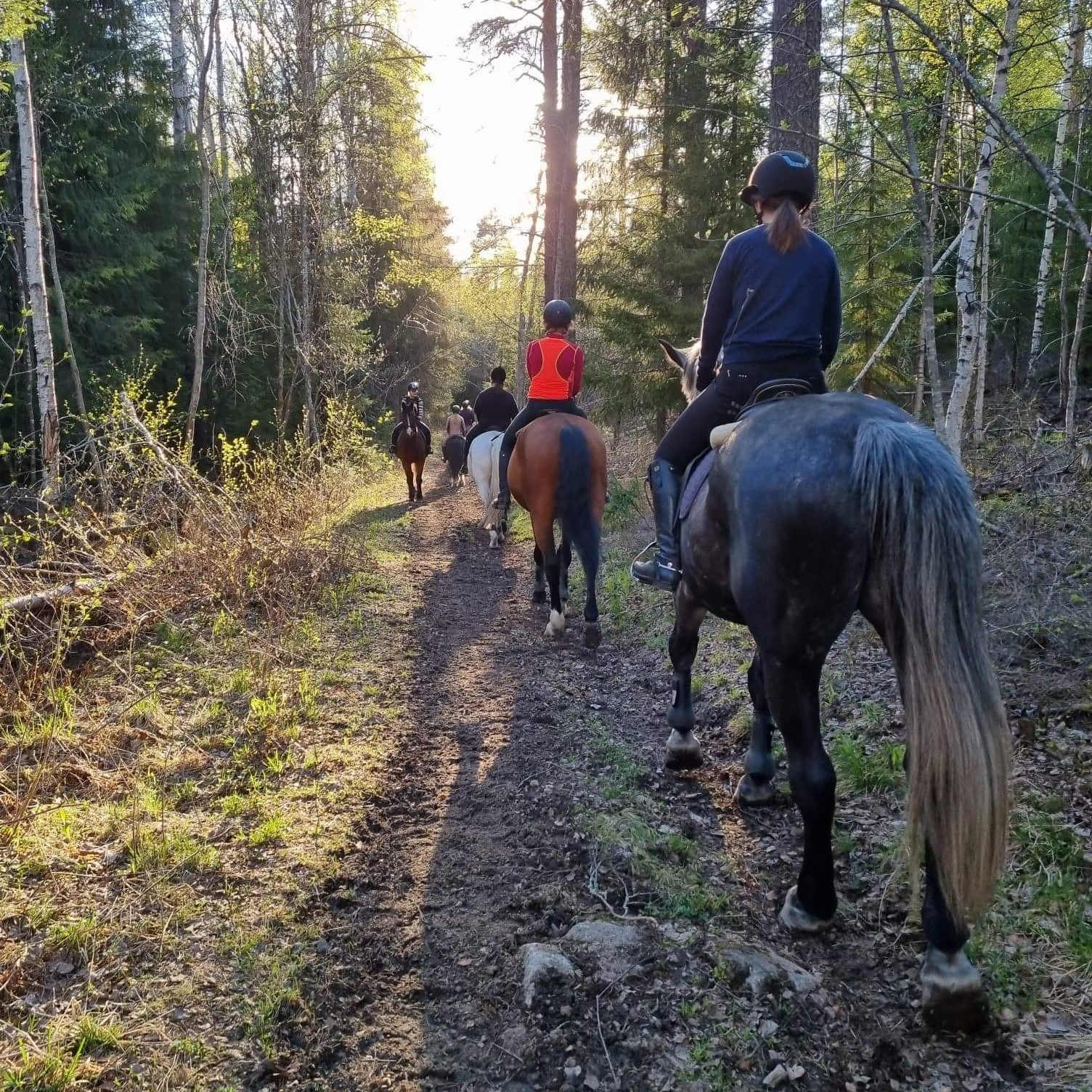 Sundsvalls Fältrittklubb uteritt häst 2022